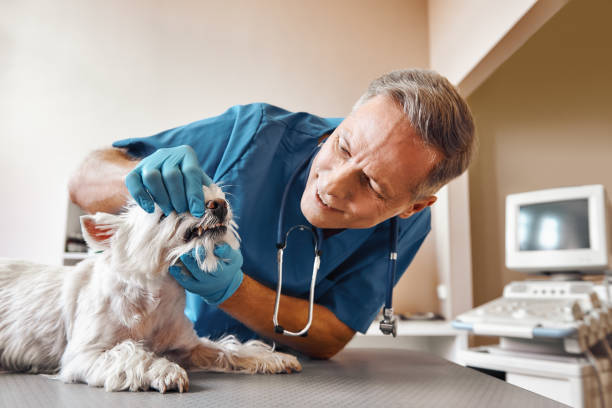 Best Emergency Wisdom Tooth Extraction in Cambridge, MN
